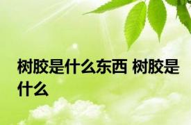 树胶是什么东西 树胶是什么