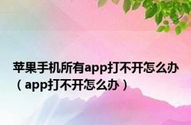 苹果手机所有app打不开怎么办（app打不开怎么办）