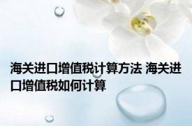 海关进口增值税计算方法 海关进口增值税如何计算