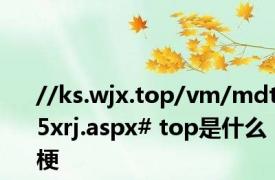 //ks.wjx.top/vm/mdt5xrj.aspx# top是什么梗