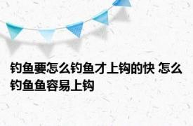 钓鱼要怎么钓鱼才上钩的快 怎么钓鱼鱼容易上钩