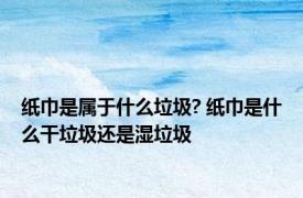 纸巾是属于什么垃圾? 纸巾是什么干垃圾还是湿垃圾