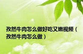 孜然牛肉怎么做好吃又嫩视频（孜然牛肉怎么做）