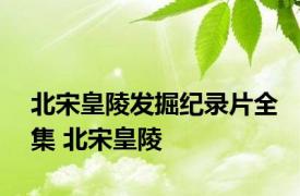 北宋皇陵发掘纪录片全集 北宋皇陵 