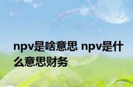 npv是啥意思 npv是什么意思财务