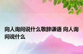 向人询问说什么敬辞谦语 向人询问说什么 