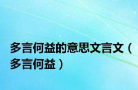 多言何益的意思文言文（多言何益）