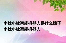 小杜小杜智能机器人是什么牌子 小杜小杜智能机器人 