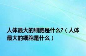 人体最大的细胞是什么?（人体最大的细胞是什么）