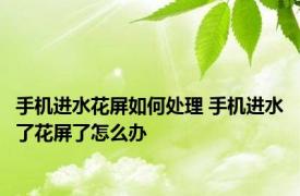 手机进水花屏如何处理 手机进水了花屏了怎么办