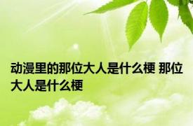 动漫里的那位大人是什么梗 那位大人是什么梗 