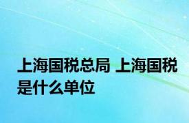 上海国税总局 上海国税是什么单位