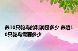 养10只鸵鸟的利润是多少 养殖10只鸵鸟需要多少 