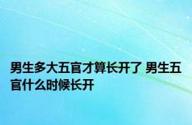 男生多大五官才算长开了 男生五官什么时候长开 