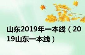 山东2019年一本线（2019山东一本线）