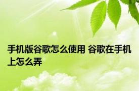 手机版谷歌怎么使用 谷歌在手机上怎么弄