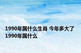 1990年属什么生肖 今年多大了 1990年属什么