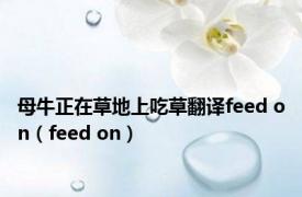 母牛正在草地上吃草翻译feed on（feed on）