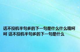 话不投机半句多的下一句是什么什么哦呵呵 话不投机半句多的下一句是什么