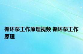 循环泵工作原理视频 循环泵工作原理 