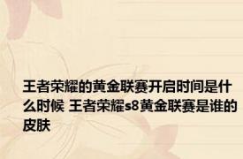 王者荣耀的黄金联赛开启时间是什么时候 王者荣耀s8黄金联赛是谁的皮肤