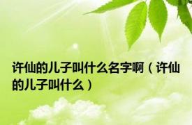 许仙的儿子叫什么名字啊（许仙的儿子叫什么）