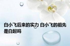 白小飞后来的实力 白小飞的祖先是白起吗