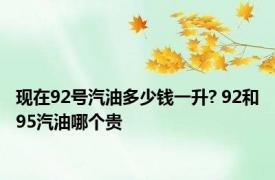 现在92号汽油多少钱一升? 92和95汽油哪个贵 