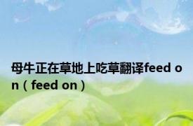 母牛正在草地上吃草翻译feed on（feed on）