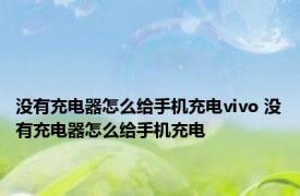 没有充电器怎么给手机充电vivo 没有充电器怎么给手机充电 