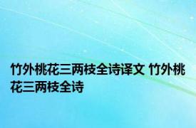 竹外桃花三两枝全诗译文 竹外桃花三两枝全诗 