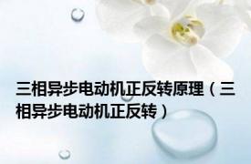 三相异步电动机正反转原理（三相异步电动机正反转）