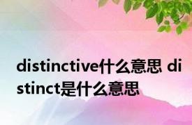 distinctive什么意思 distinct是什么意思 