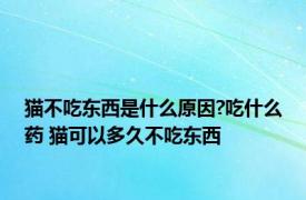 猫不吃东西是什么原因?吃什么药 猫可以多久不吃东西 