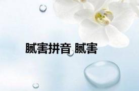 腻害拼音 腻害 