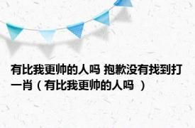 有比我更帅的人吗 抱歉没有找到打一肖（有比我更帅的人吗 ）