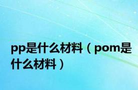 pp是什么材料（pom是什么材料）