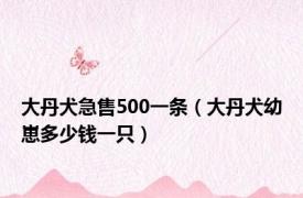 大丹犬急售500一条（大丹犬幼崽多少钱一只）