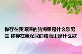 你存在我深深的脑海里是什么歌男生 你存在我深深的脑海里是什么歌