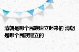 清朝是哪个民族建立起来的 清朝是哪个民族建立的