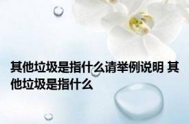 其他垃圾是指什么请举例说明 其他垃圾是指什么