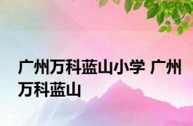 广州万科蓝山小学 广州万科蓝山 