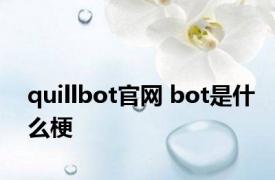 quillbot官网 bot是什么梗