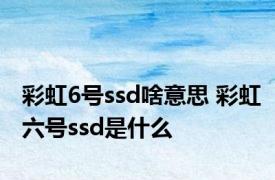 彩虹6号ssd啥意思 彩虹六号ssd是什么