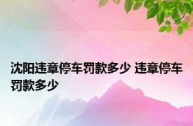 沈阳违章停车罚款多少 违章停车罚款多少