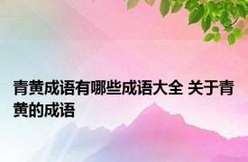 青黄成语有哪些成语大全 关于青黄的成语