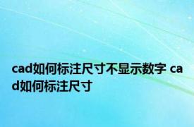 cad如何标注尺寸不显示数字 cad如何标注尺寸