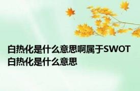 白热化是什么意思啊属于SWOT 白热化是什么意思 