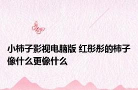 小柿子影视电脑版 红彤彤的柿子像什么更像什么