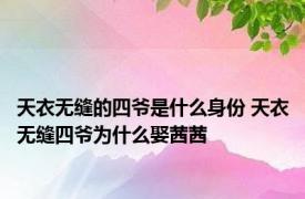 天衣无缝的四爷是什么身份 天衣无缝四爷为什么娶茜茜